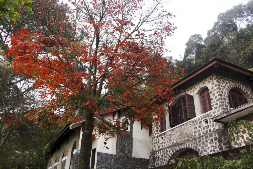 The abandoned French colonial villas scattered throughout Bach Ma tell the story of the park's unique history as a hill station retreat